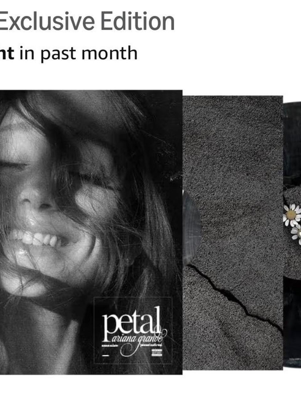 Ariana Grande Black & Gray 'Petal' Album Art Print
